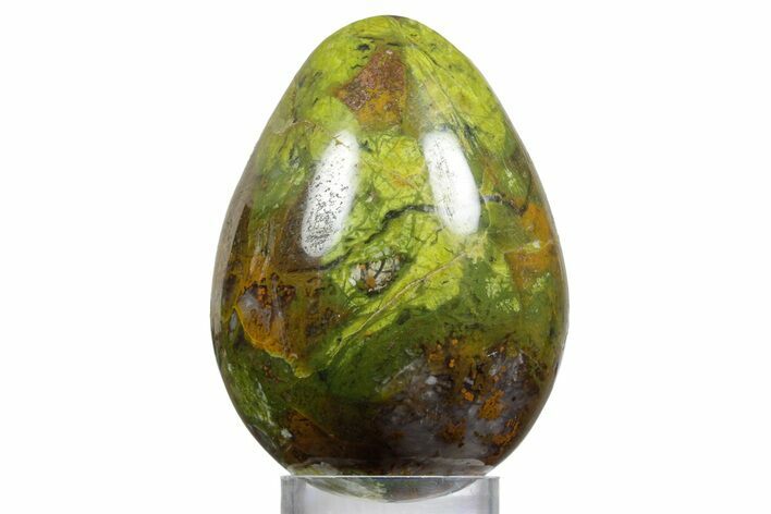Polished Green Opal Egg - Madagascar #356157